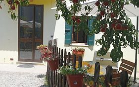Appartamento Malcontenta